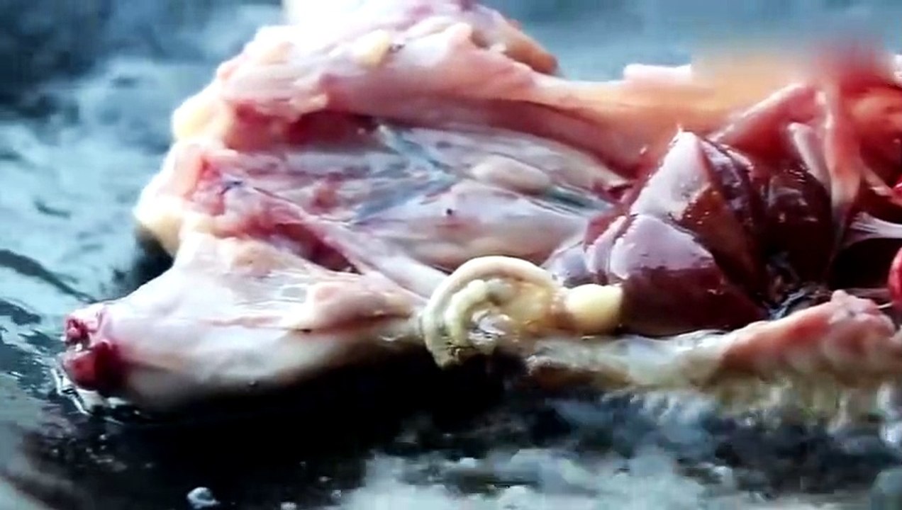 The wild girl food of the rural girl, the rabbit on the mountain is roasting and eating, so miss it.