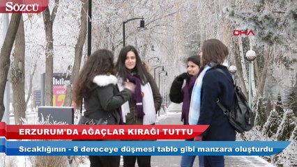 Erzurum’da ağaçlar kırağı tuttu