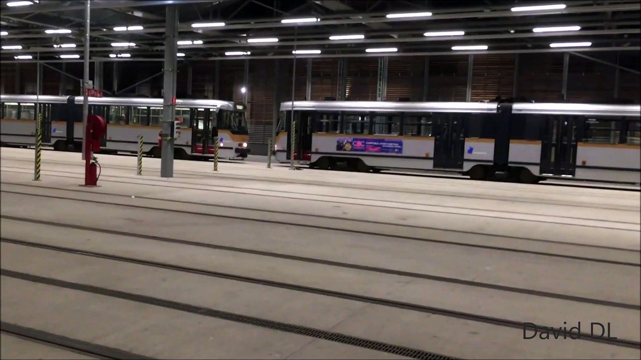 Steenmarter