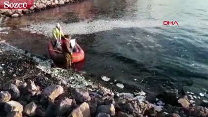 Denize palm yağı aktı