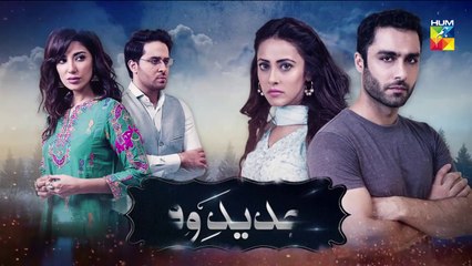 Tajdeed e Wafa Epi 14 HUM TV Drama 23 December 2018