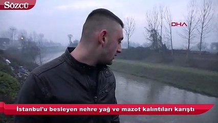 Tankların vanaları çalındı, İstanbul'u besleyen nehre yakıt karıştı