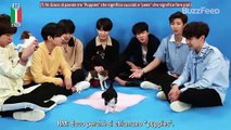 [SUB ITA] BTS Plays With Puppies While Answering Fan Questions | BuzzFeed Celeb