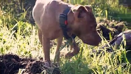 Je suis le partage d'un moment