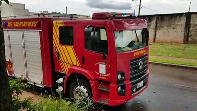 Árvore cai em residência do Cataratas