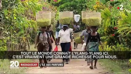 Madagascar : l'île au parfum d'ylang-ylang