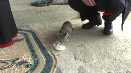 Muş Ayağı Kırılan Kediye 9 Yaşındaki Abdulsamet Sahip Çıktı