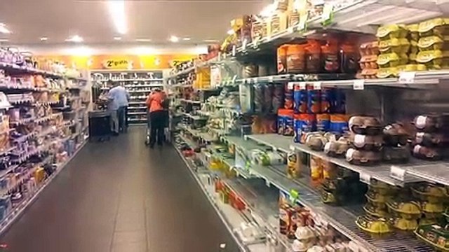 Albert fait éclore un oeuf de caille !