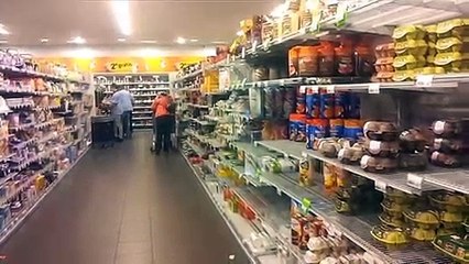 Albert fait éclore un oeuf de caille !