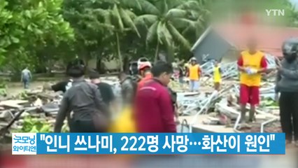 [YTN 실시간뉴스] "인니 쓰나미, 222명 사망...화산이 원인" / YTN