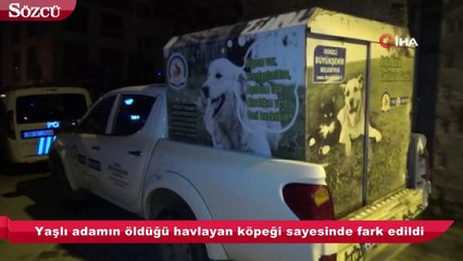 Yaşlı adamın öldüğü havlayan köpeği sayesinde fark edildi