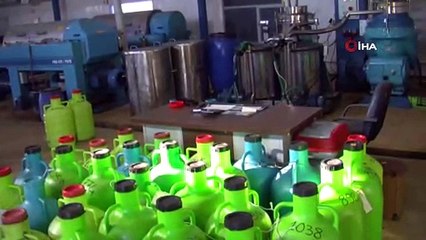 Zeytinyağındaki bolluk fiyatları düşürdü