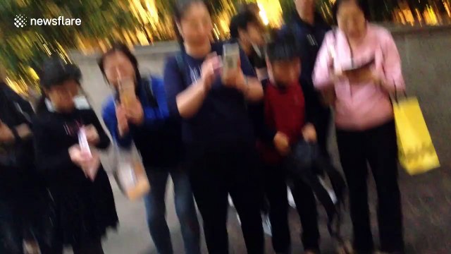 Christmas dogs attract their own little paparazzi as holiday shoppers crowd around for pictures