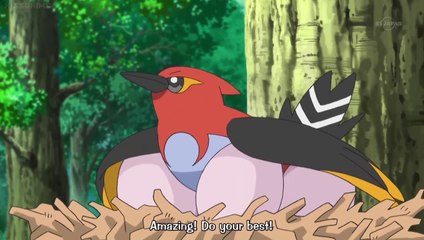 Pokemon XY&Z Poke TV Segment 022 English Sub XY115