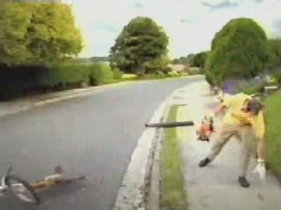 Stihlblower