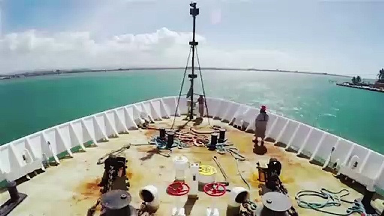 New creatures on the bottom of the sea have been discovered by humans