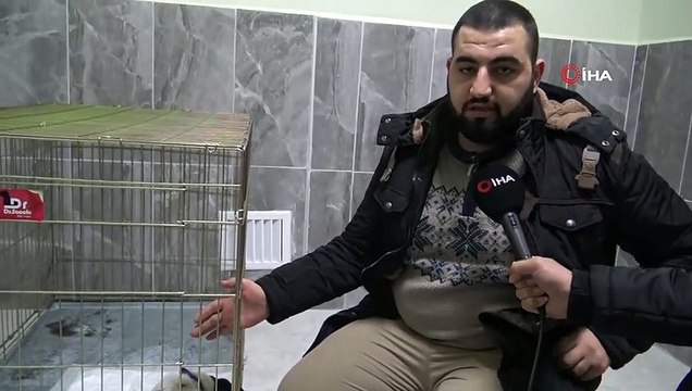 Köpeği Ezdi, Arkasına Bakmadan Kaçtı! O Anlar Kameraya Yansıdı..