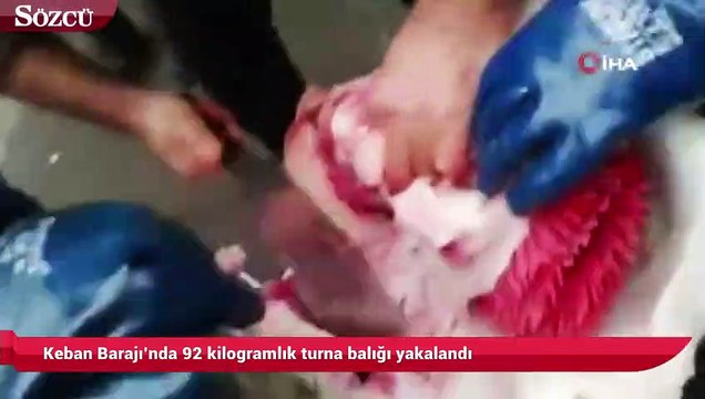 Keban Barajı’nda 92 kilogramlık turna balığı yakalandı