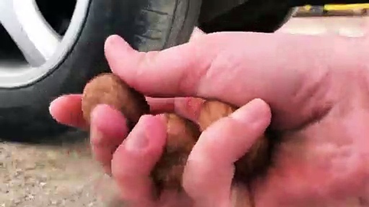 CRUSHING Walnuts by CAR ! VERY satisfying ASMR