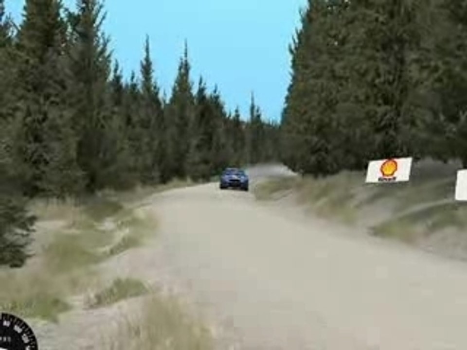 Rallyesim2008