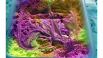 Satisfying Slime ASMR Video #85  /Slime ASMR Pressing Compilation / CRUNCHY SLIME #85