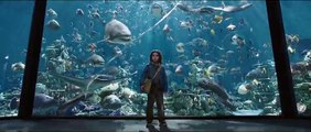 Aquaman Türkçe Altyazılı Fragman