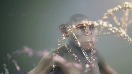 Sciences - Un test ADN pour Noël ?