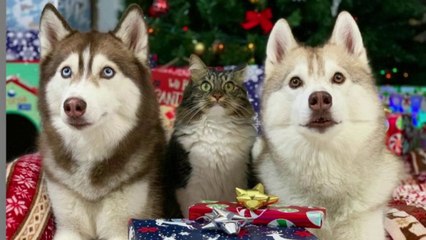 Sur Instagram, des idées repas et déco pour Noël