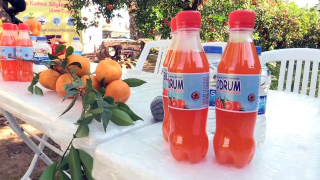 Bodrum Mandalina Hasat Festivaline doğru - MUĞLA