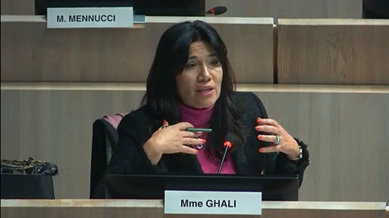 Samia Ghali intervient sur les punaises de lit