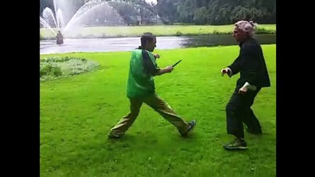 Part 4 martial arts: Selfdefense of the Snake by Tai Chi and Kungfu master Douwe Geluk