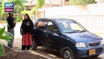 Bubbly Kya Chahti Hai Episode 79 & 80 - on ARY Zindagi in High Quality 26th December 2018