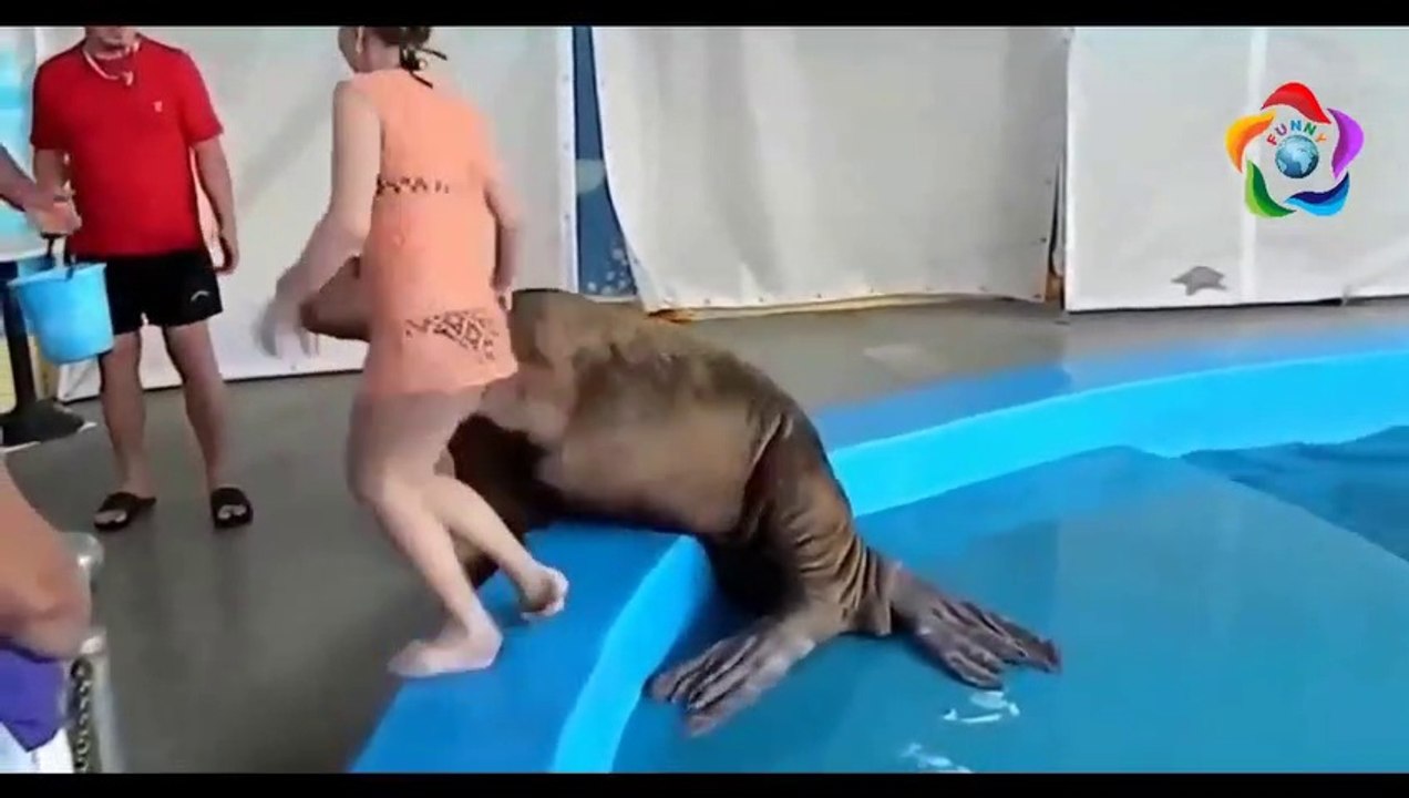 If It Were Not Filmed No One Would Believe It