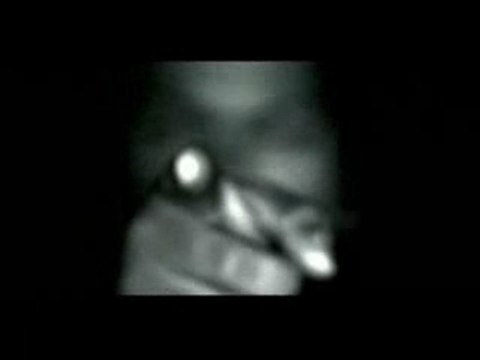 Ice Cube - Gangsta Rap Made Me Do It