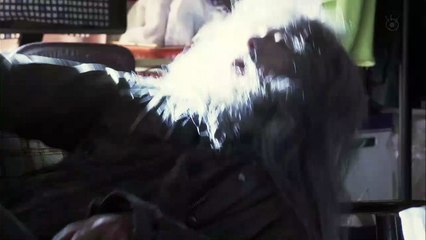 [Tezu] Monte Cristo Haku  - 2v2