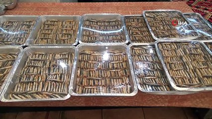 Yağışlar arttı balık fiyatları düştü