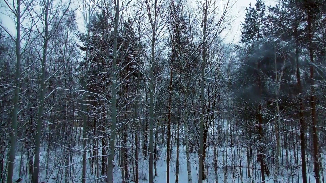 Dec 18 2018 DL1