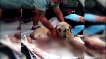 Tren bacaklarını parçaladı, pes etmeyip hayata tutundu