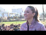 Një vizitë fundviti te gjelat e detit në Baldushk - Top Channel Albania - News - Lajme