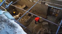 شاهد: العثور على جثة حصان عمرها حوالي 2000 سنة في بومبي الإيطالية