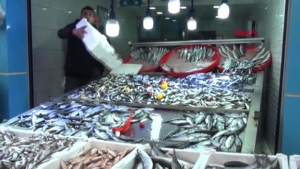 Sinop Karadeniz'de İstavrit Bolluğu, Fiyatları İndirtti