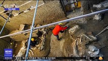 [뉴스터치] 폼페이서 2천년전 모습 그대로 '말' 화석 발굴
