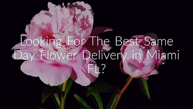 Same Day Flower Delivery in Miami FL - Send Flowers | 786-422-5849