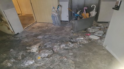 '조현병' 30대, 독서실 방화...현장서 검거 / YTN