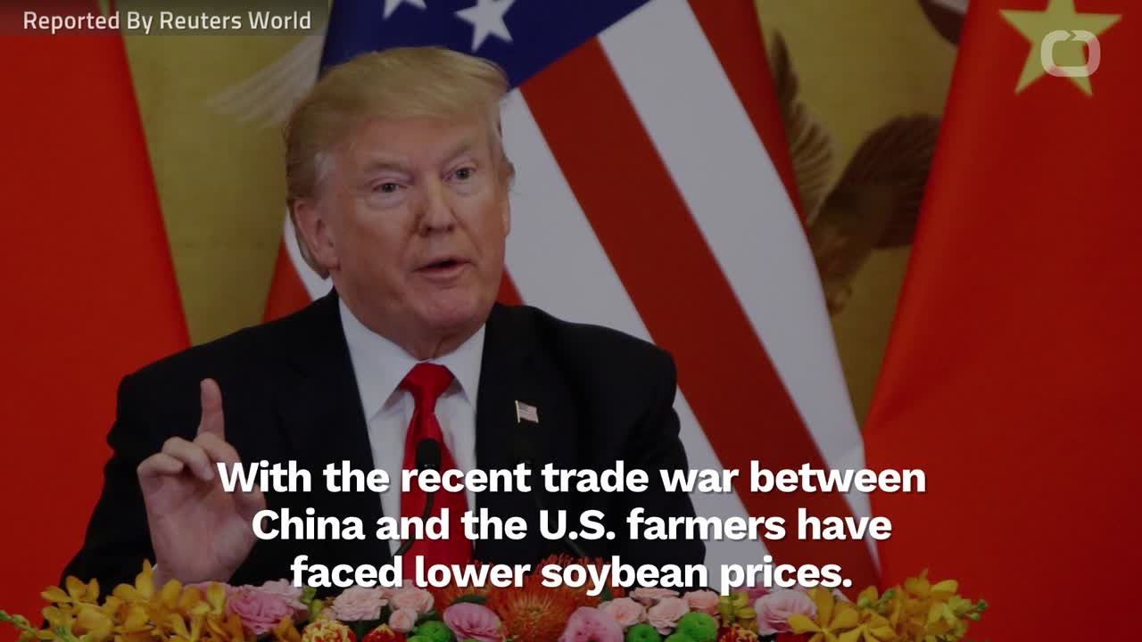 Farmers Must Decide Whether To Farm More Corn Or Soybeans Next Year