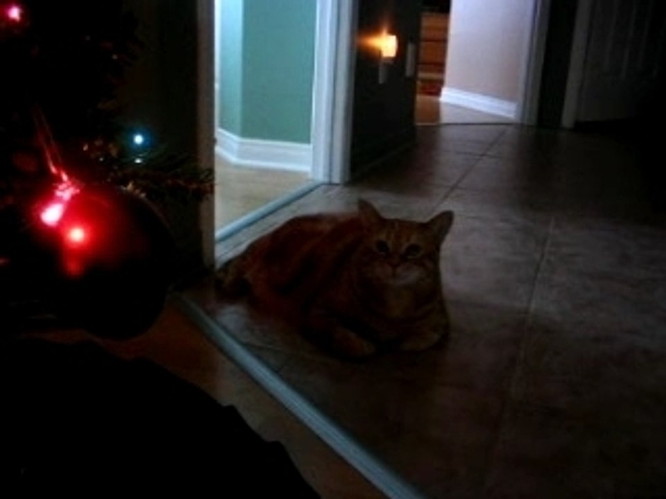Chloée Noël