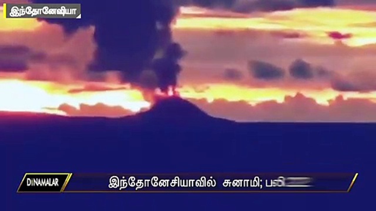 இந்தோனேசியாவில்  சுனாமி; பலி 222