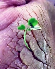 لا واضح انه سنة 2019 سنة خير هههههههههههههه