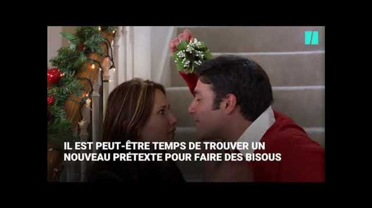 Ces plantes qui décorent votre intérieur à noël sont toxiques pour vos animaux