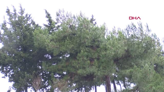 İstanbul- İstanbul'da Kar Yağışı Başladı